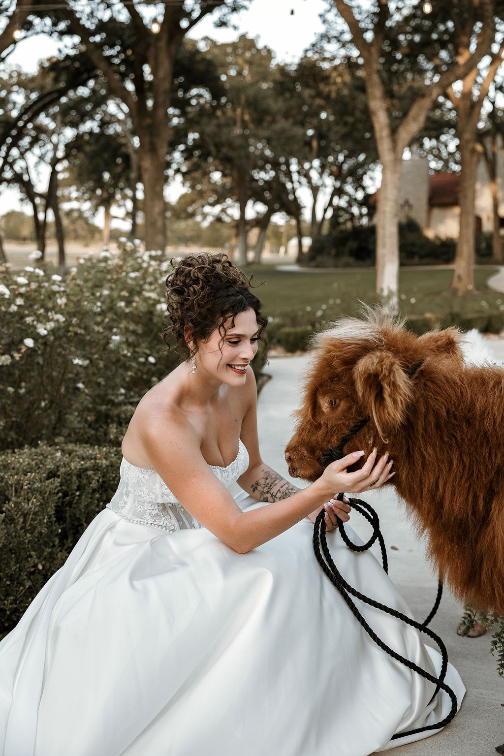 Guests interacting with Honey and Marsh at a wedding